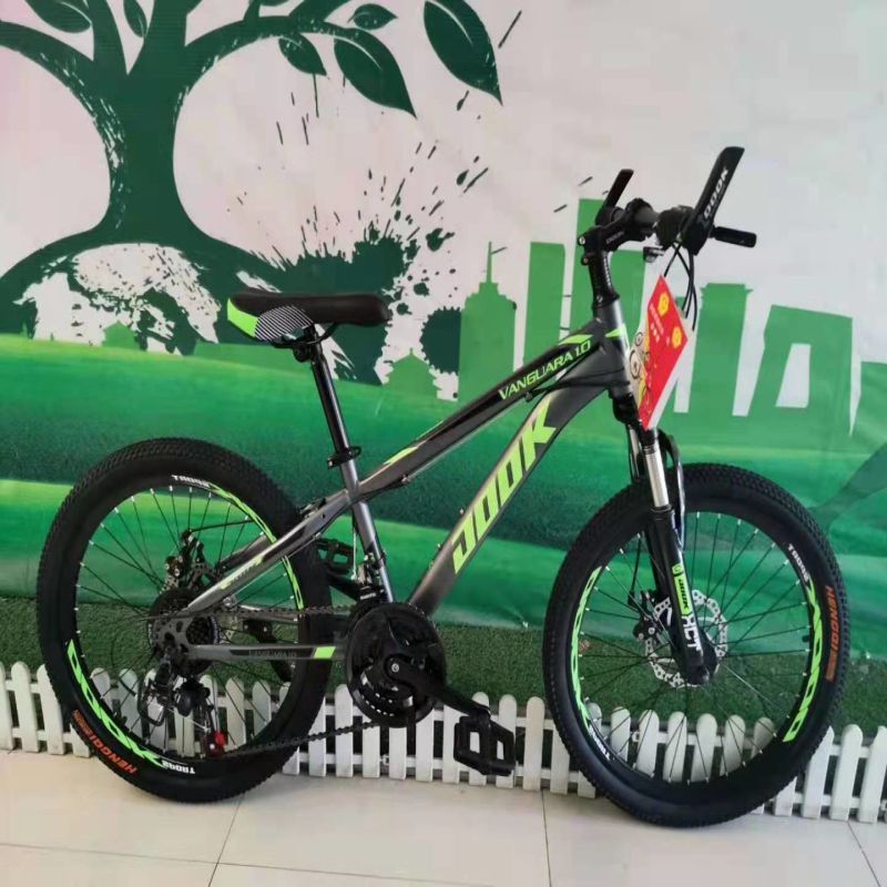 Bicycle Mountain bike 22 inch 21 speed high carbon steel frame strip wheel men and women cycling bicycle