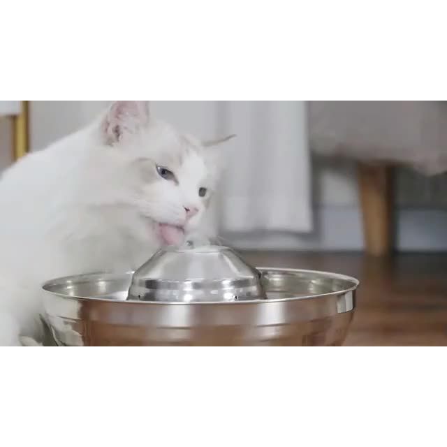 Pet Dog Bowls Fountain Automatic Flowing Stainless Steel Cat Water Dispenser Cat Pet Drink Fountain Bowl thumbnail