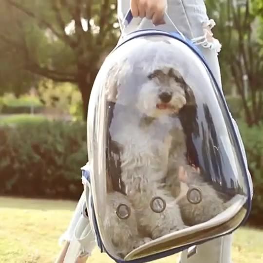 Pet Portable Carrier Small Animal Space Capsule Lightweight Backpack Transparent Outdoor Travel Pet Knapsack thumbnail