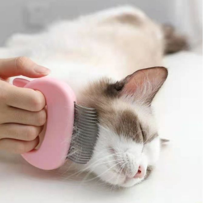 cat and dog fairy hair shaver full figure