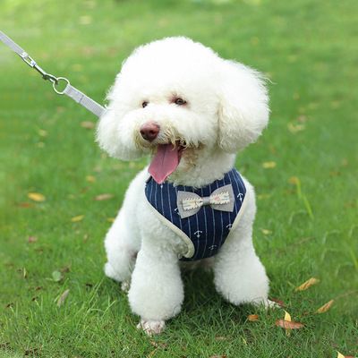 Pet cat supplies anti-break breathable adjustable cat chest strap waistcoat cat leash rope full figure