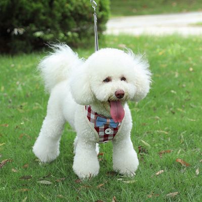 Pet cat supplies anti-break breathable adjustable cat chest strap waistcoat cat leash rope Specification drawing