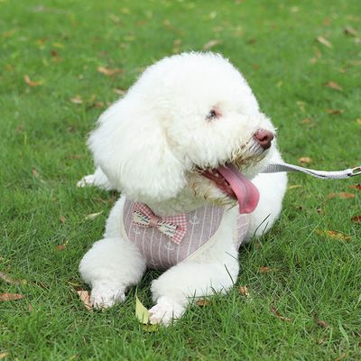 Pet cat supplies anti-break breathable adjustable cat chest strap waistcoat cat leash rope details Picture