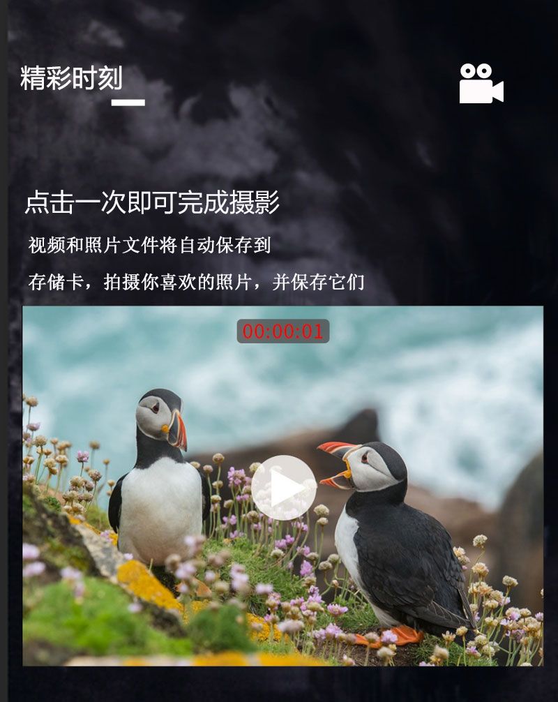 自由虎数码夜视仪大屏夜间彩色高清成像夜视仪全彩触屏数码夜视仪 pic 8