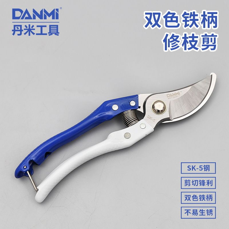 Gardening pruning scissors fruit pruning fruit tree pruning Garden pruning flower pruning flower pruning fruit pruning outdoors thumbnail