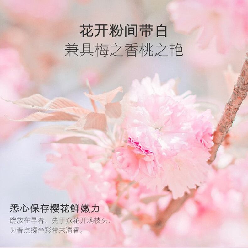 3S 樱花精粹滋养水晶眼贴膜 樱花眼膜贴60片装详情3