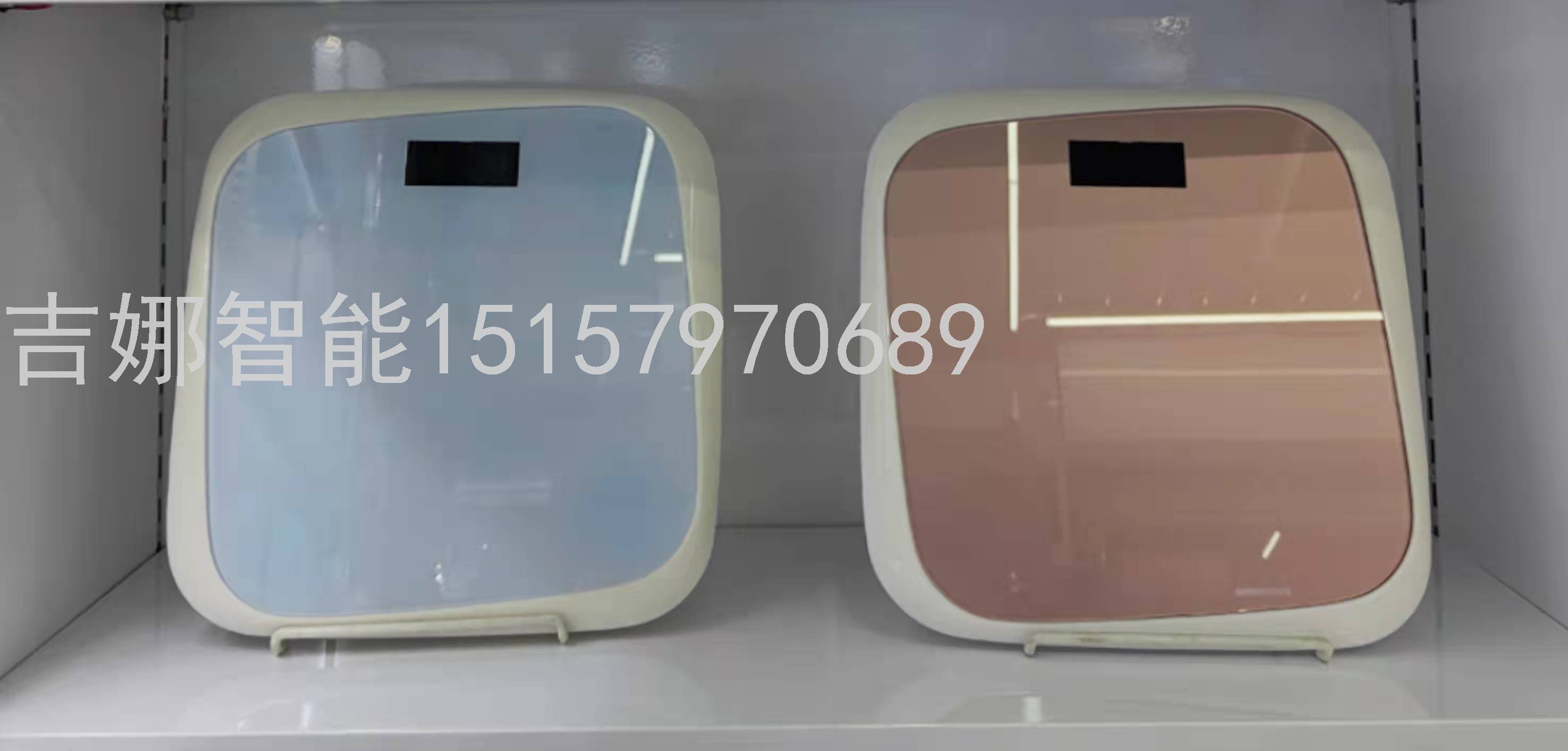 电子人体秤/体重秤/家用电子秤产品图