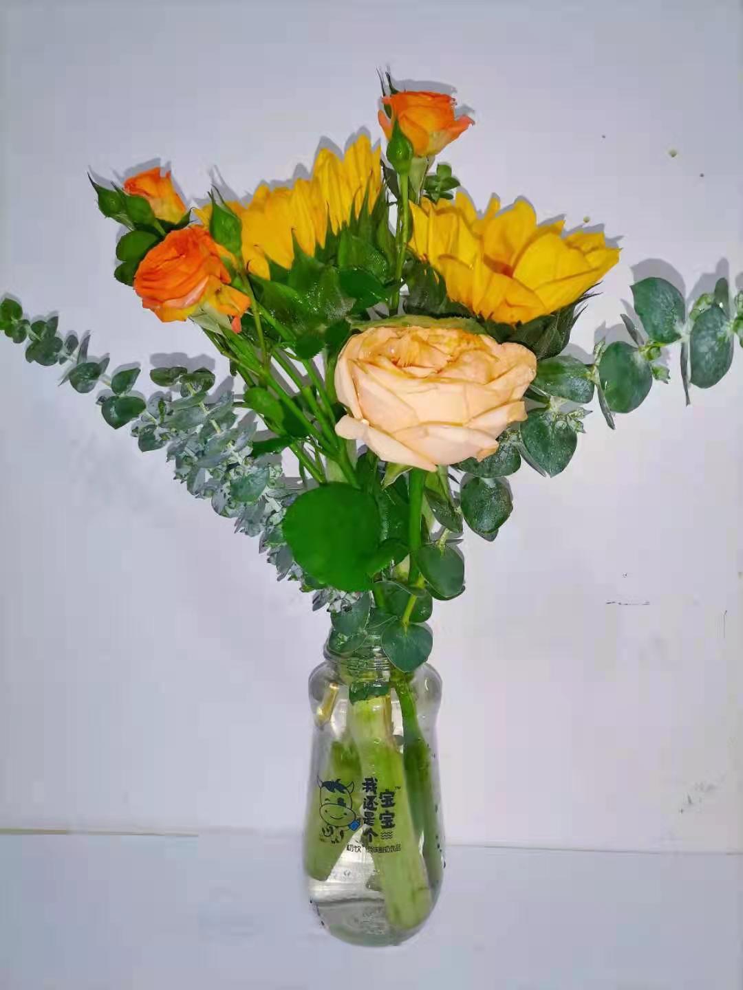 Sound High Appearance Level Specification drawing