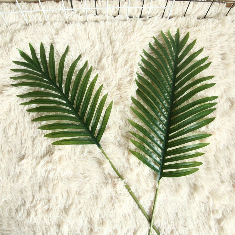 仿真植物实物图