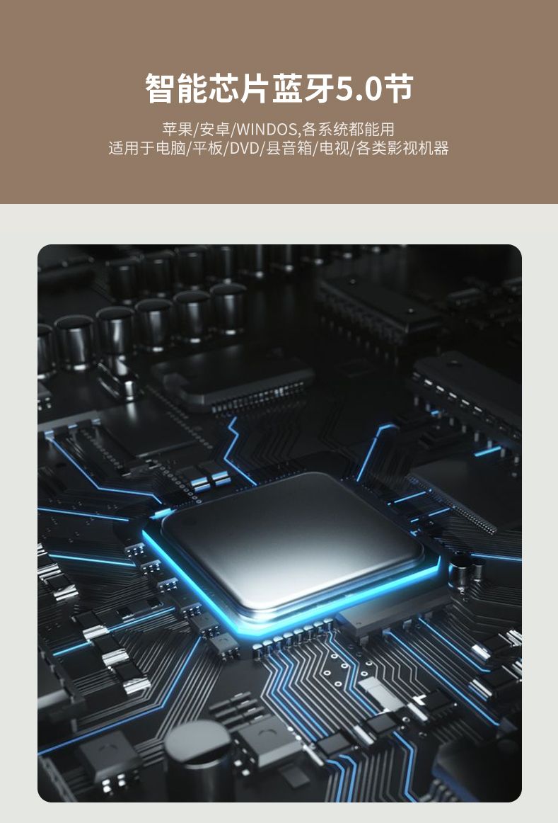 GLS-16 HIFI家用KTV功放专业卡包AC/DC车载带麦克风插口无源音响音频放大器详情9