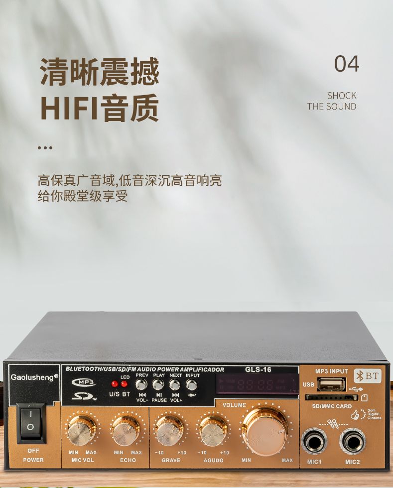GLS-16 HIFI家用KTV功放专业卡包AC/DC车载带麦克风插口无源音响音频放大器详情6