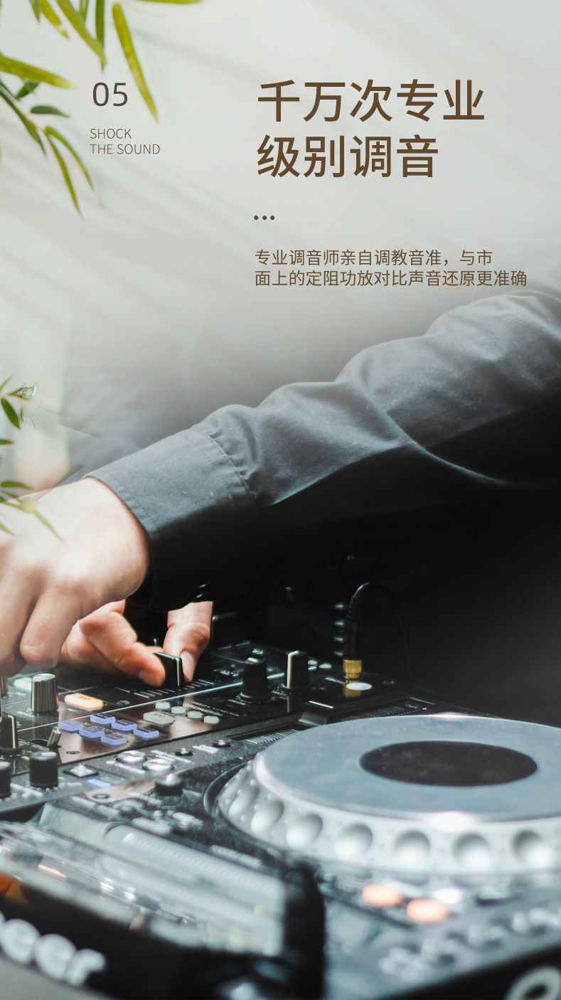 GLS-16 HIFI家用KTV功放专业卡包AC/DC车载带麦克风插口无源音响音频放大器详情7