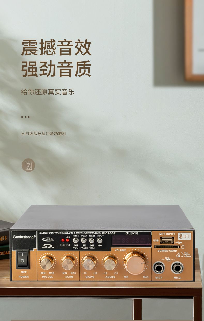 GLS-16 HIFI家用KTV功放专业卡包AC/DC车载带麦克风插口无源音响音频放大器详情1