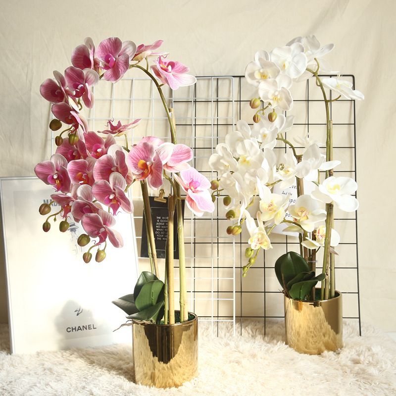 Phalaenopsis artificial flower plant bonsai, wedding decoration, INS style artificial plant wall, rose wall