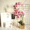 Phalaenopsis artificial flower plant bonsai, wedding decoration, INS style artificial plant wall, rose wall details Picture