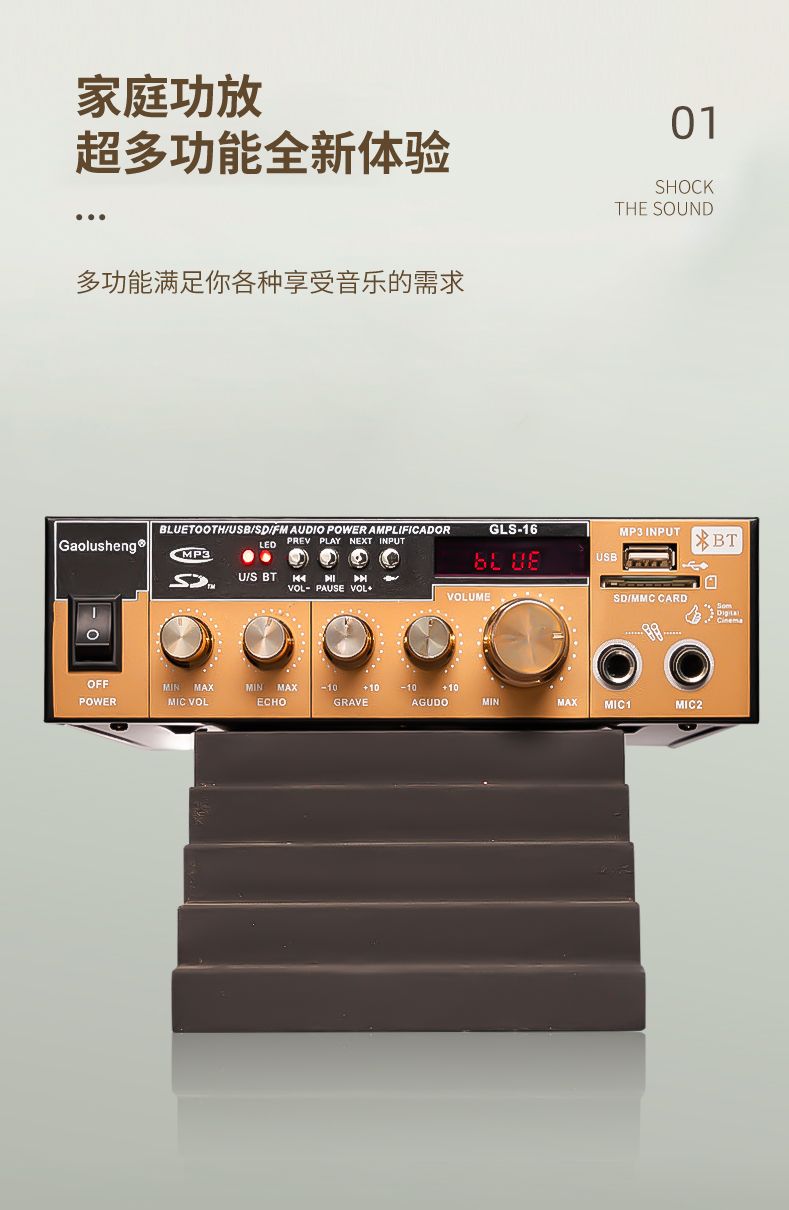 GLS-16 HIFI家用KTV功放专业卡包AC/DC车载带麦克风插口无源音响音频放大器详情3