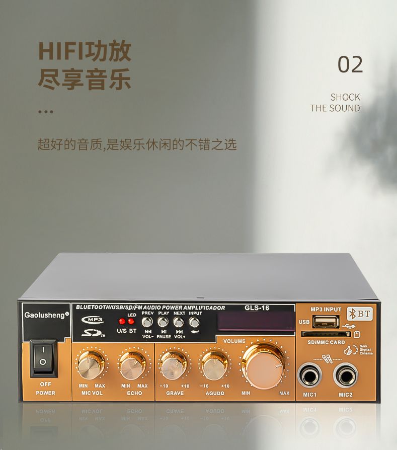 GLS-16 HIFI家用KTV功放专业卡包AC/DC车载带麦克风插口无源音响音频放大器详情4