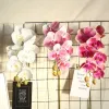 Phalaenopsis artificial flower plant bonsai, wedding decoration, INS style artificial plant wall, rose wall Specification image
