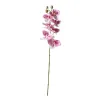 Phalaenopsis artificial flower plant bonsai, wedding decoration, INS style artificial plant wall, rose wall Item Picture