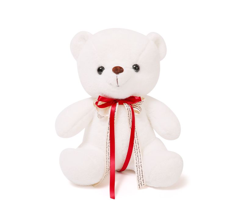 Premium gift box, Teddy bear plush toy, girl doll, birthday present for your boyfriend or girlfriend Item Picture