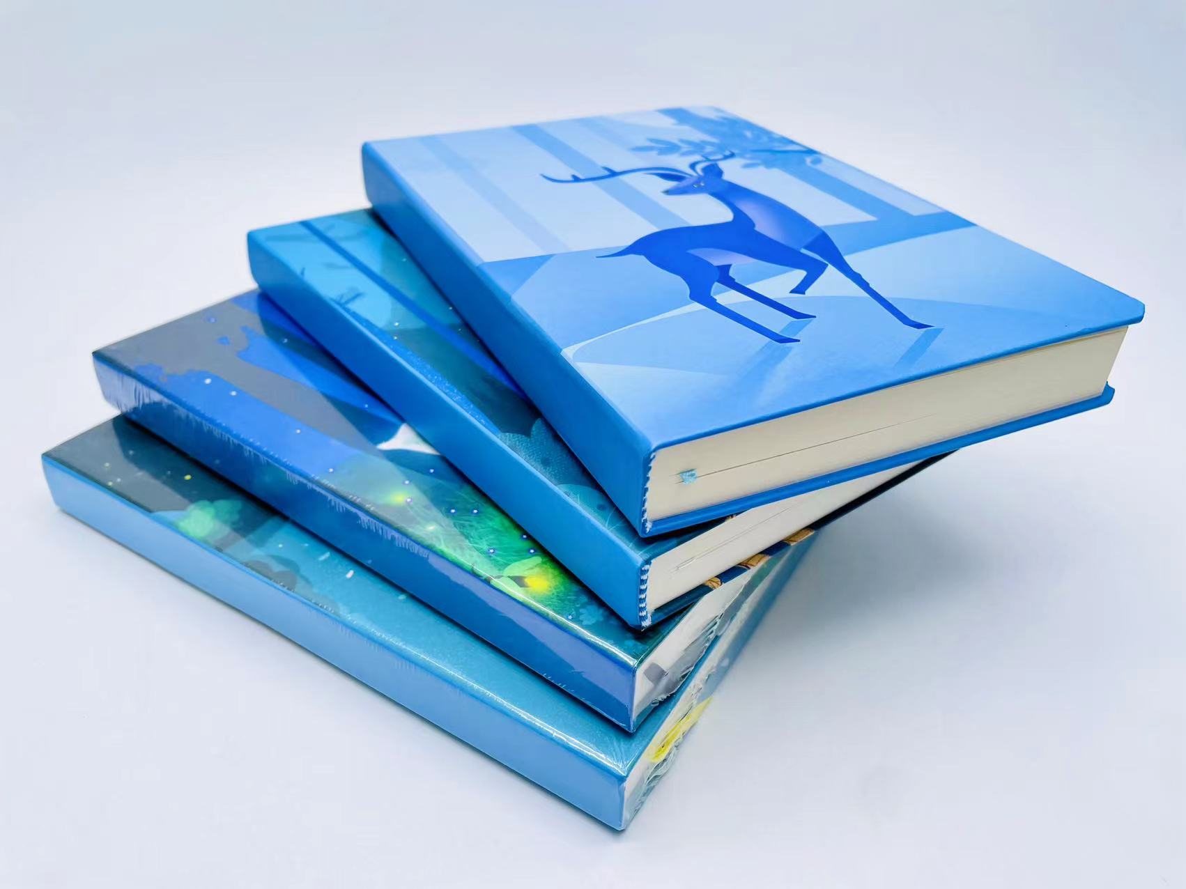 硬抄本/精装本细节图