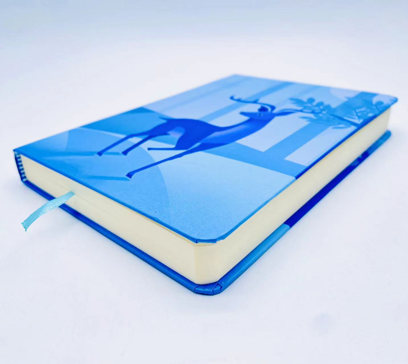 硬抄本/精装本产品图