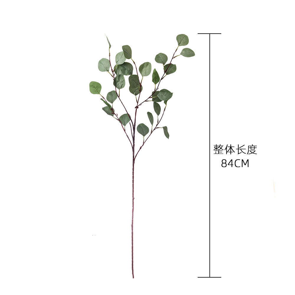 Artificial flower eucalyptus, eucalyptus leaf, money leaf, ginkgo leaf manufacturer, home decoration plant wall artificial flower MW26642 Item Picture