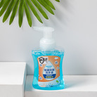 泡沫洗手液抑菌消毒通用温和护肤清香型OEM ODM厂家直销 一件代发