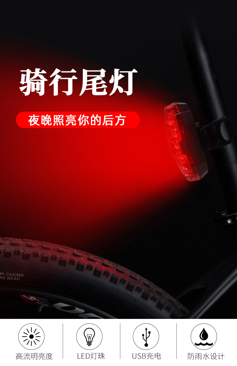 220338USB充电尾灯自行车尾灯山地单车尾灯 骑行装备安全警示灯详情2