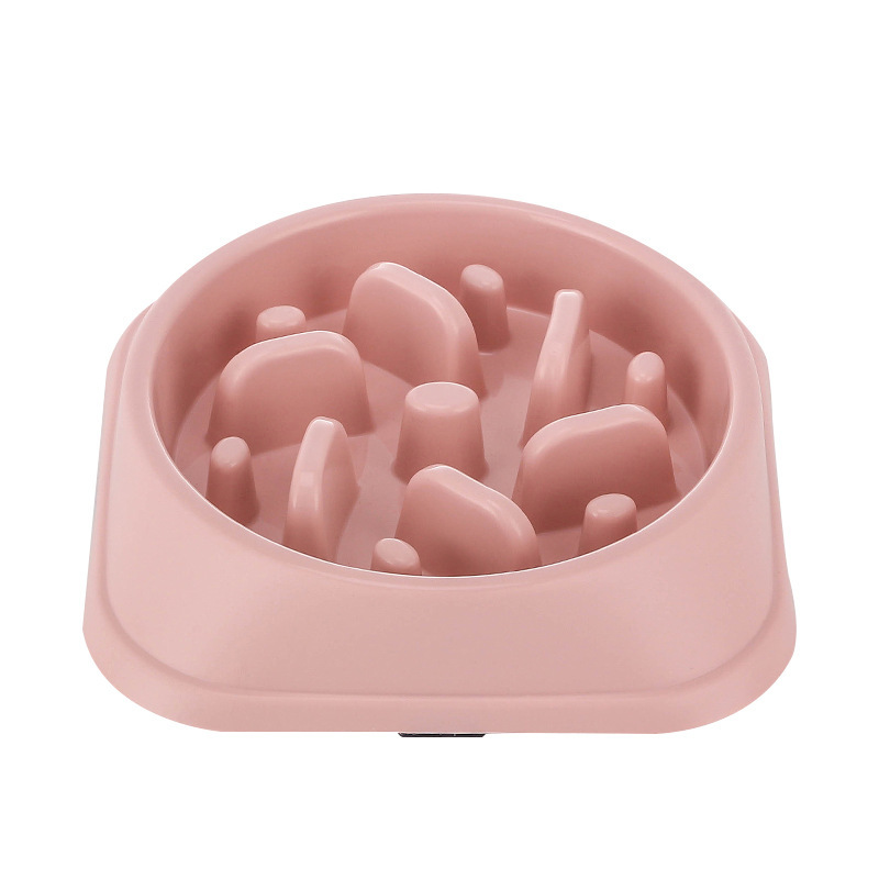 狗狗食具实物图