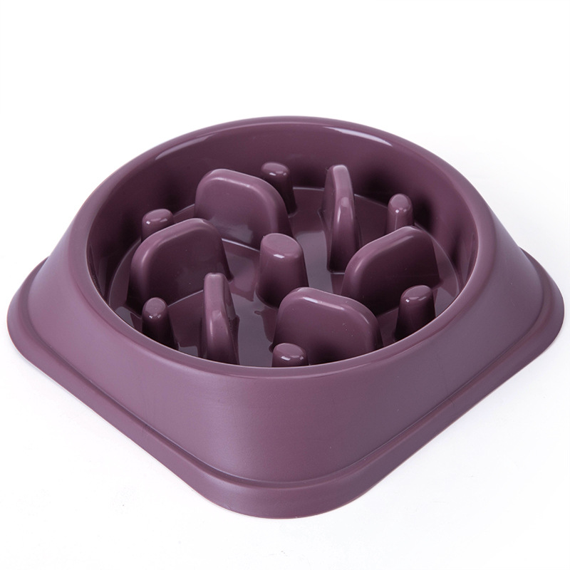 New pet bowl, slow food bowl, dog and cat licking food, anti-choking food utensware, anti-slip and anti-knock pet food bowl Application Scenario