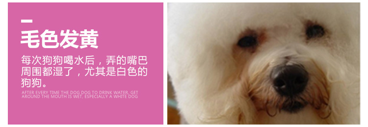 New pet hanging single-outlet water dispenser, automatic water feeder, 500ml large-capacity water dispenser for cats and dogs pic 3