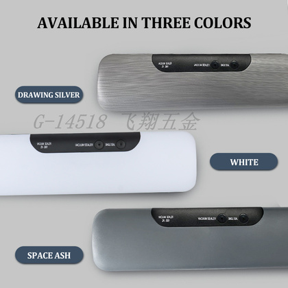 Food Vacuum Sealer Machine Home Food Vacuum Packaging Machine Hot sell Vacuum packing machine