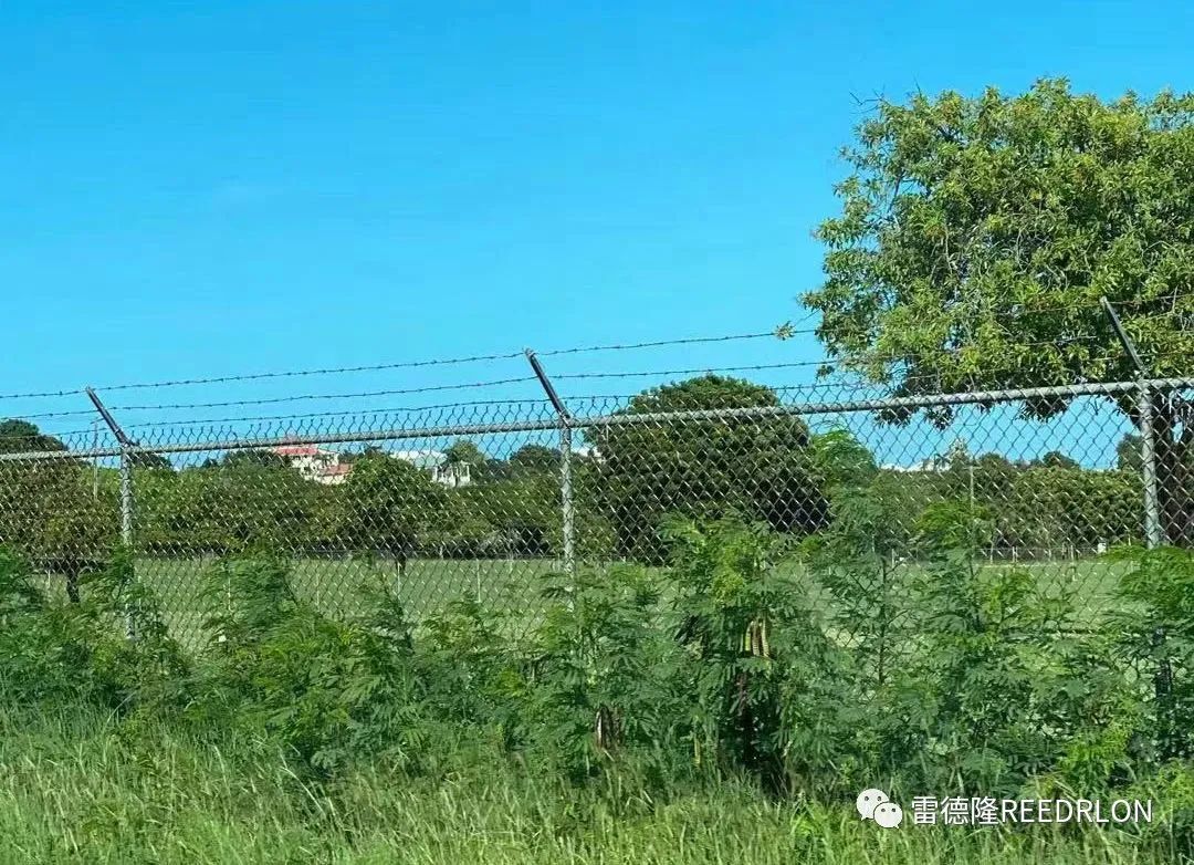 勾花网护栏 / Chain fence mesh详情4