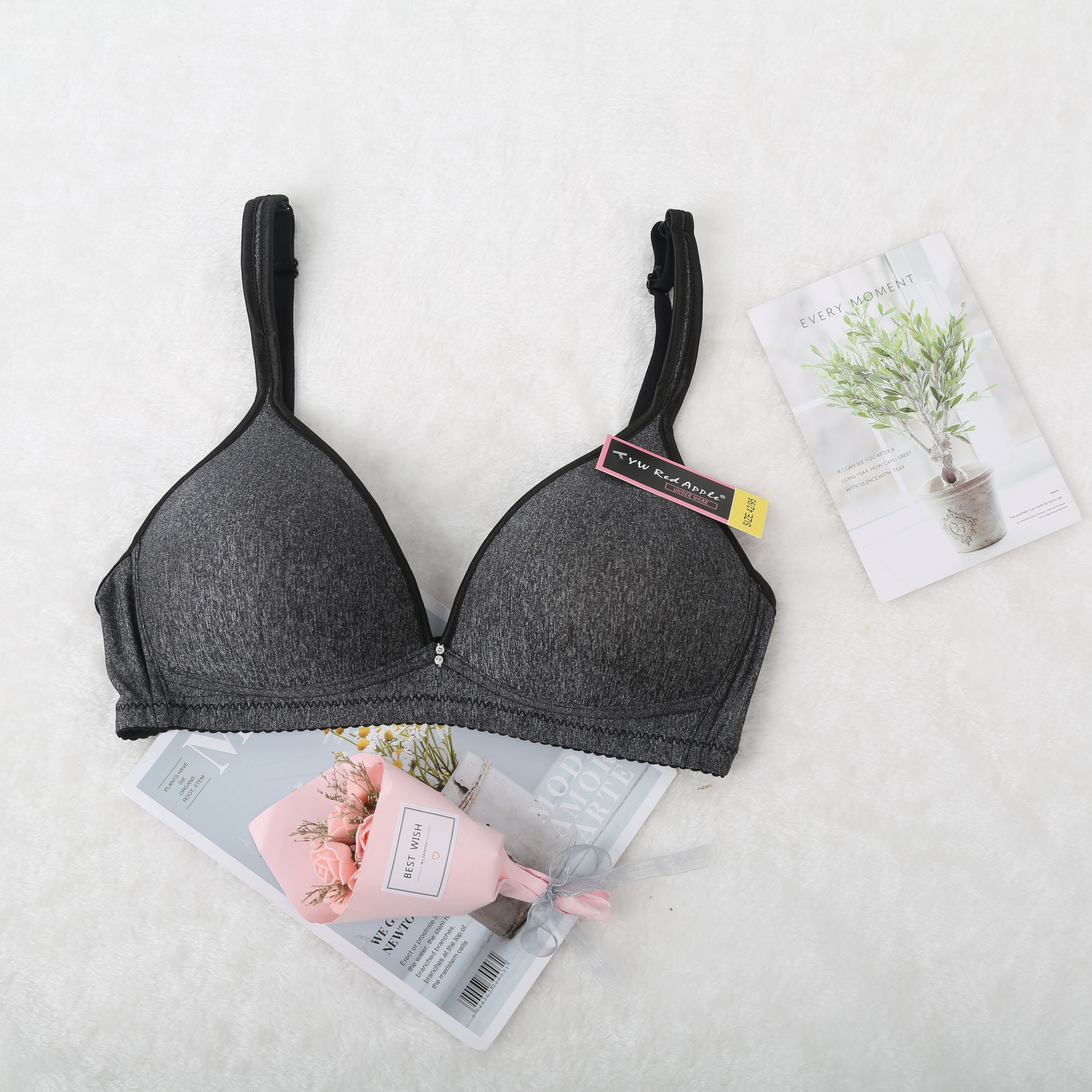 跨境出口欧美南美东南亚中色丁包边拉丝布B杯无钢圈外贸文胸详情2