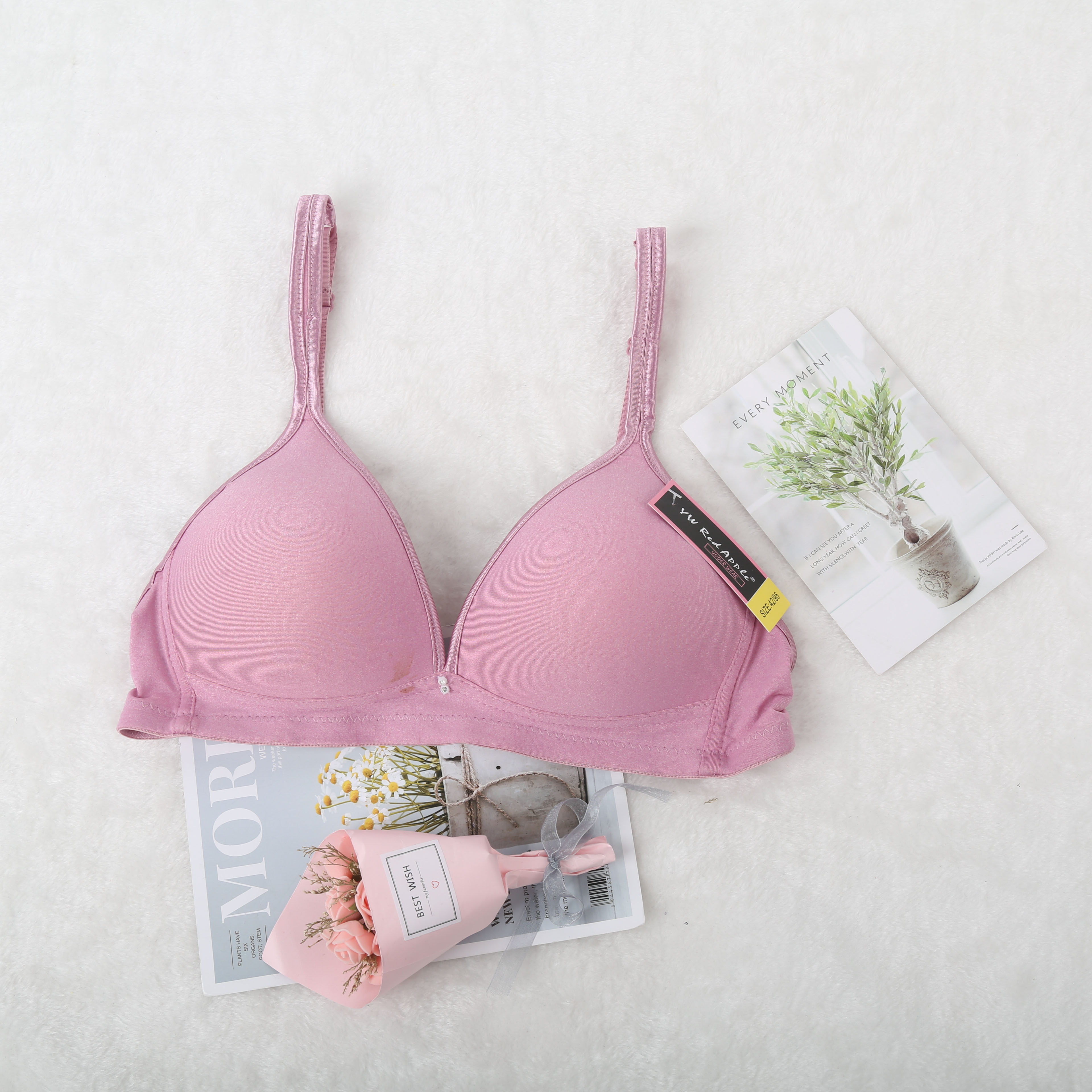 跨境出口欧美南美东南亚中色丁包边拉丝布B杯无钢圈外贸文胸详情6