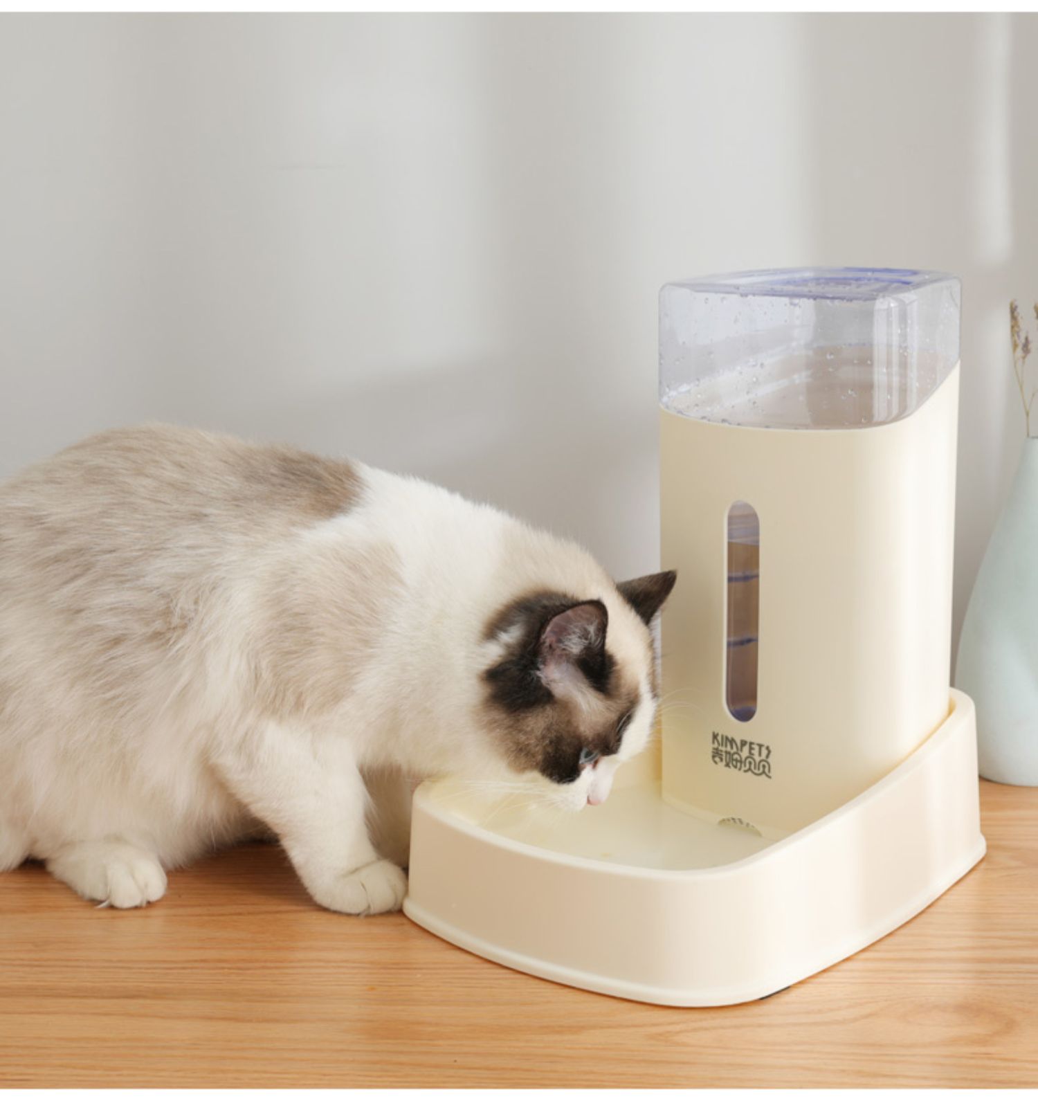 新款宠物饮水机狗狗猫咪自动饮水喂食器防打翻船型宠物食具详情5