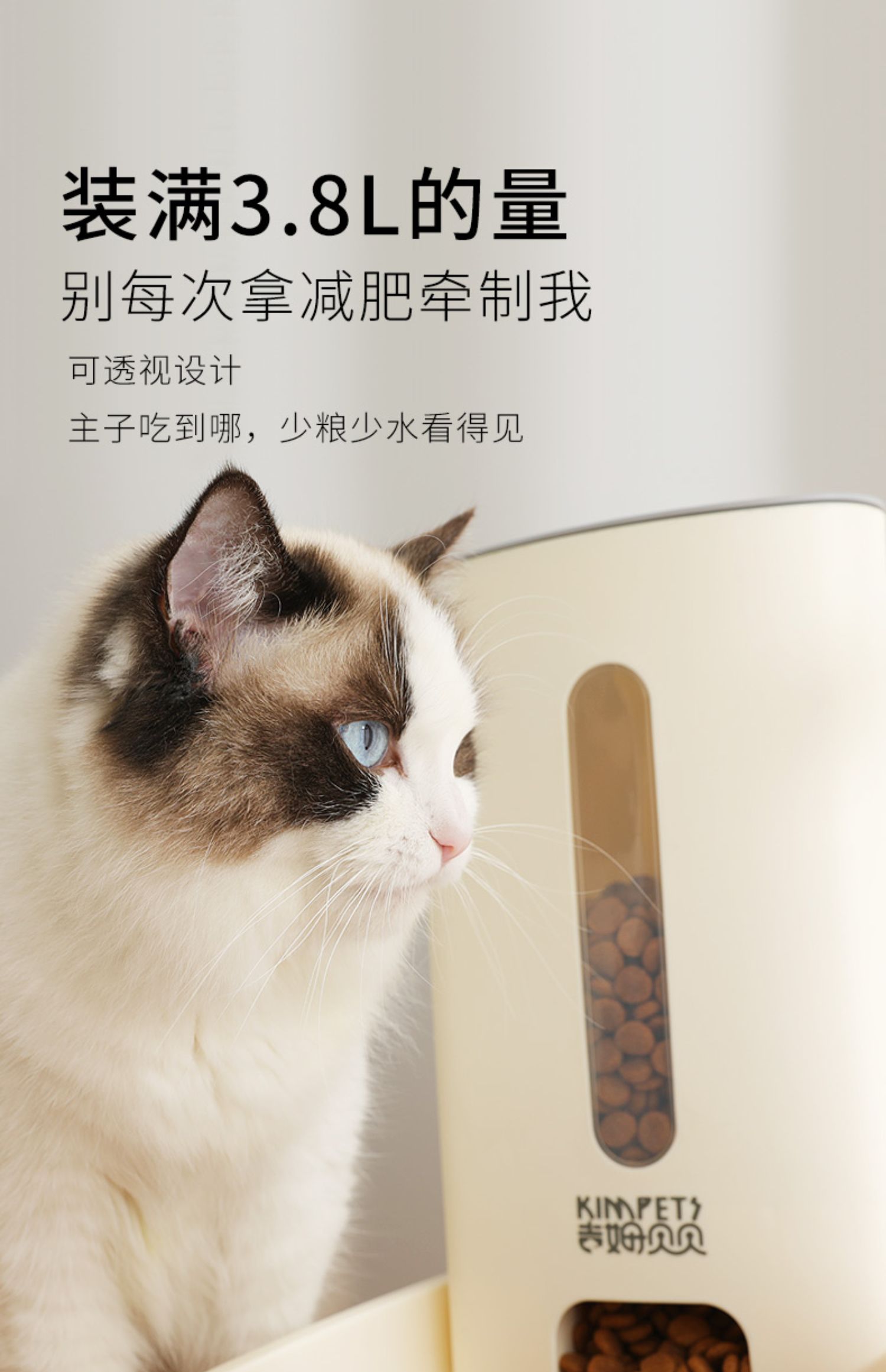 新款宠物饮水机狗狗猫咪自动饮水喂食器防打翻船型宠物食具详情14
