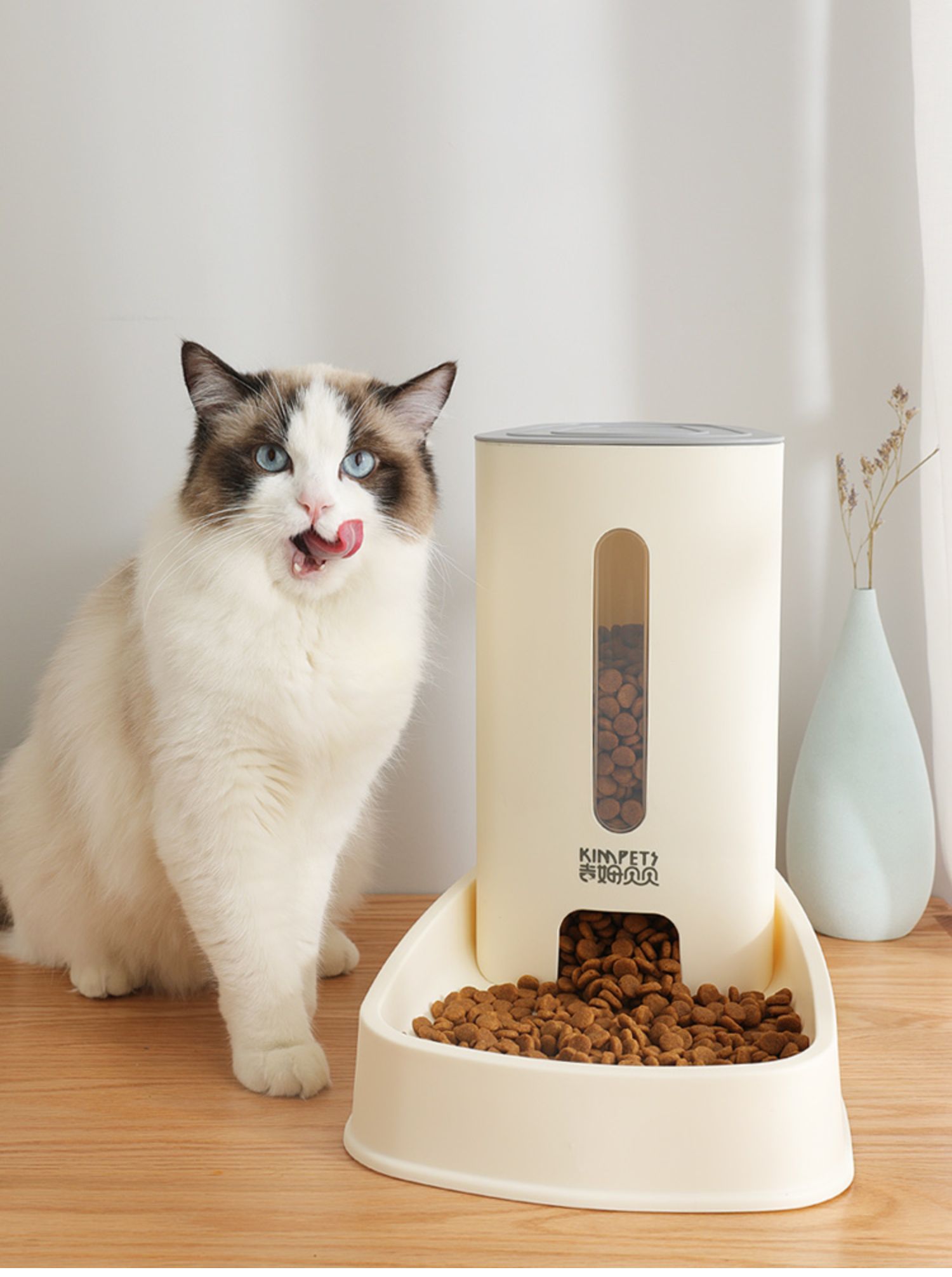 新款宠物饮水机狗狗猫咪自动饮水喂食器防打翻船型宠物食具详情11