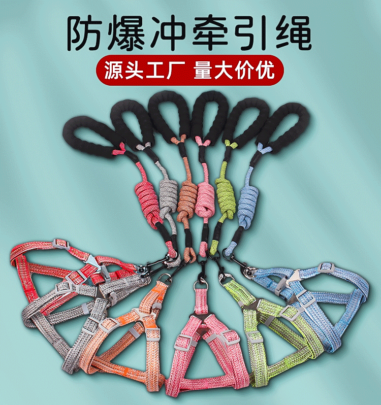 New pet leash, dog chest and back strap, cat walking leash, adjustable explosion-proof and impact-resistant pet chest and back dog leash pic 1