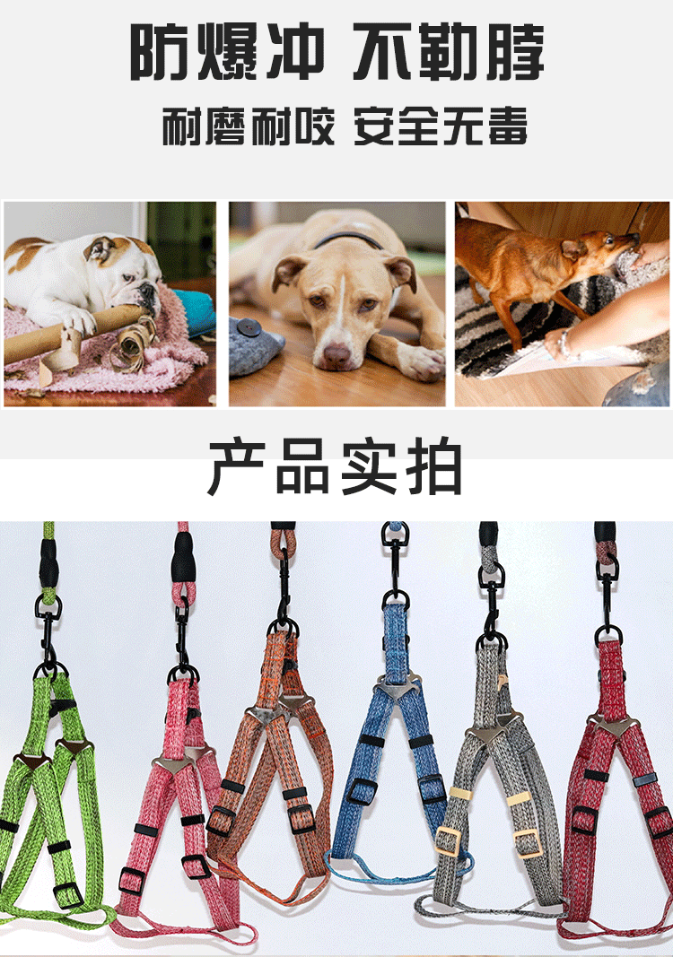 New pet leash, dog chest and back strap, cat walking leash, adjustable explosion-proof and impact-resistant pet chest and back dog leash pic 4