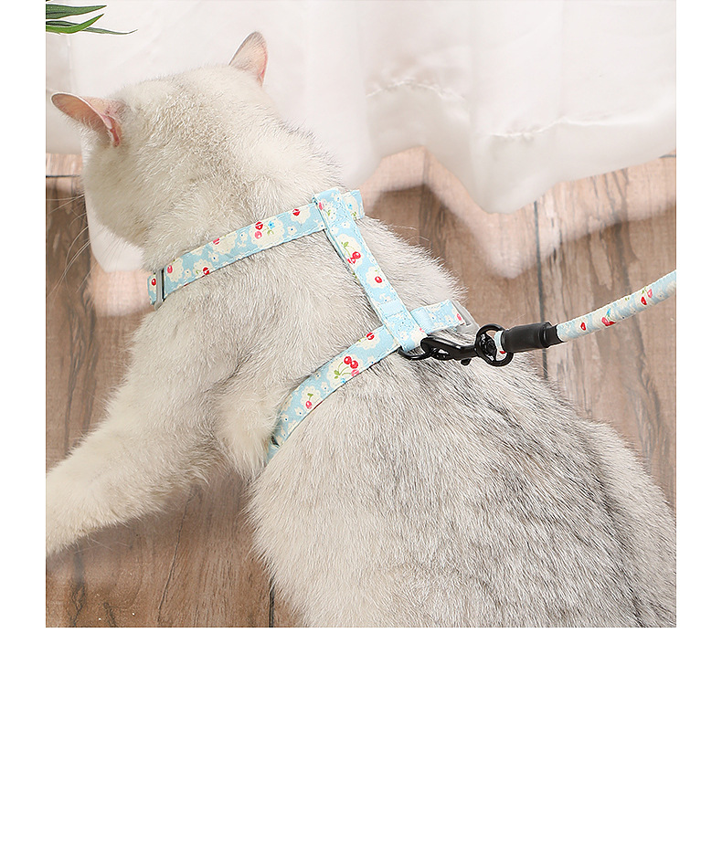 New pet chest and back straps, Japanese-style I-shaped chest and back straps, breathable leash for dogs and cats, dog chains, small flower pet supplies pic 10