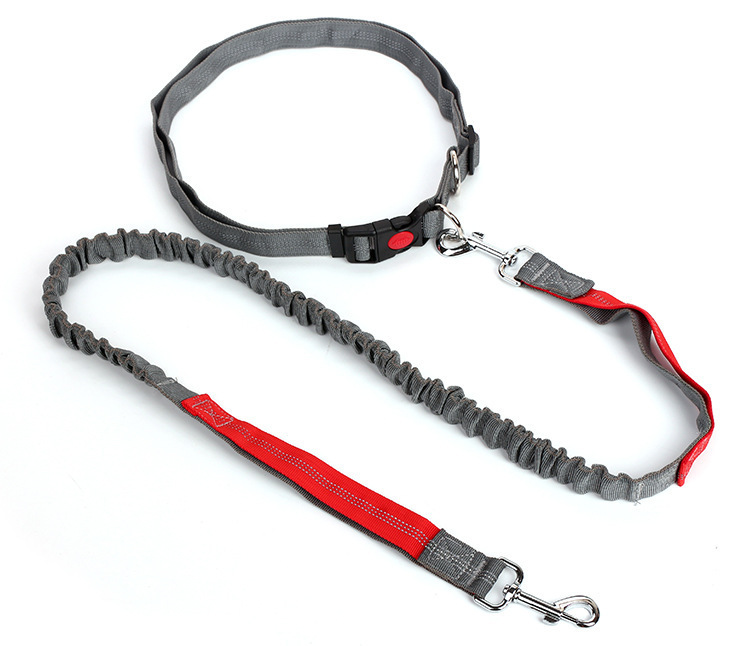 New type of pet leash, outdoor running and dog walking leash, dog chain, nylon elastic leash pic 9
