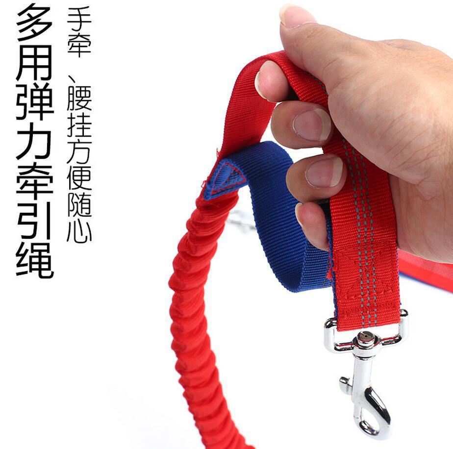 New type of pet leash, outdoor running and dog walking leash, dog chain, nylon elastic leash Application Scenario