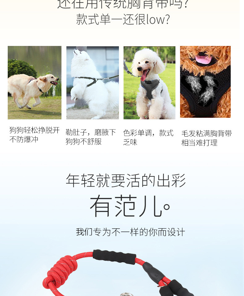 New pet leash with foam handle, breathable reflective chest and back strap, large and medium-sized dog leash, pet supplies in stock for wholesale pic 2
