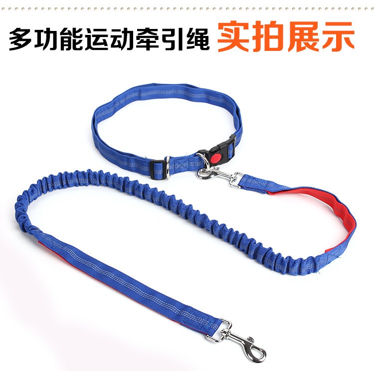 New type of pet leash, outdoor running and dog walking leash, dog chain, nylon elastic leash pic 2