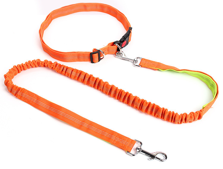 New type of pet leash, outdoor running and dog walking leash, dog chain, nylon elastic leash pic 3