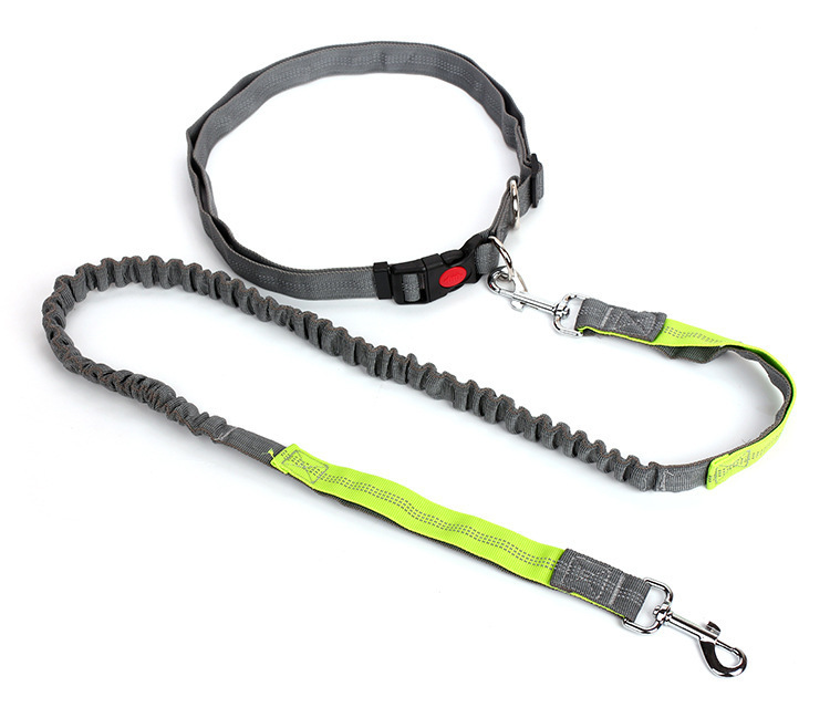 New type of pet leash, outdoor running and dog walking leash, dog chain, nylon elastic leash pic 8