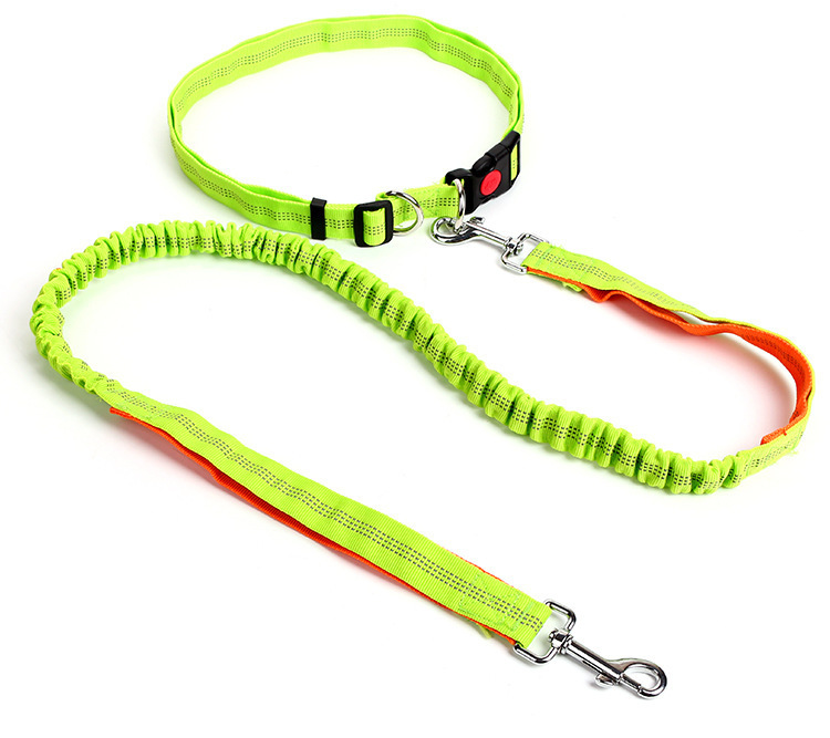 New type of pet leash, outdoor running and dog walking leash, dog chain, nylon elastic leash pic 4