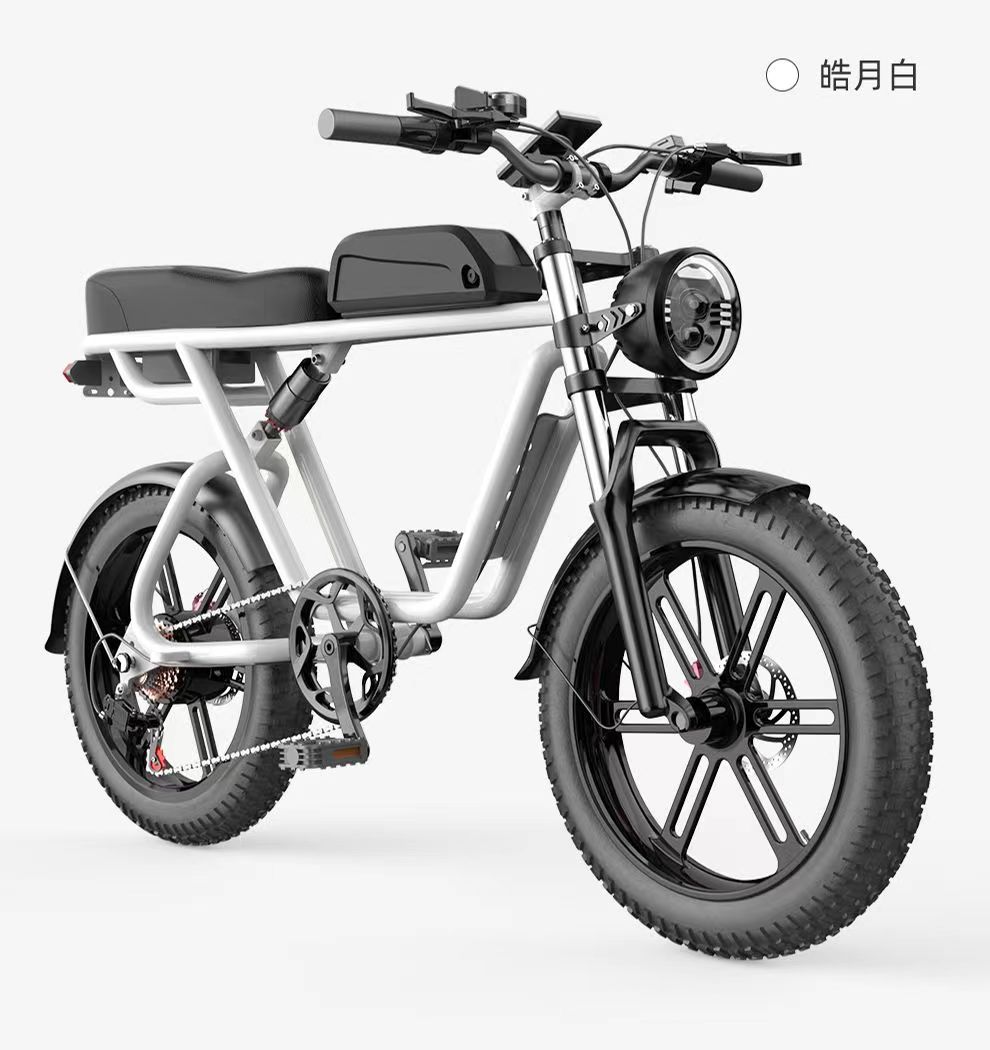 luta electric bicycle21-778 full figure